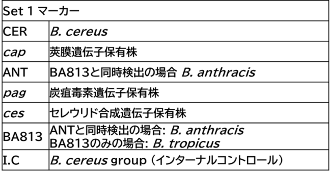B.cereus_set1
