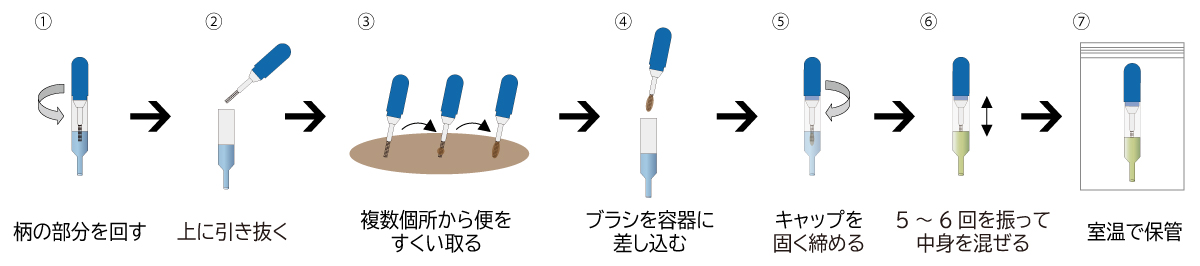 糞便採取フロー