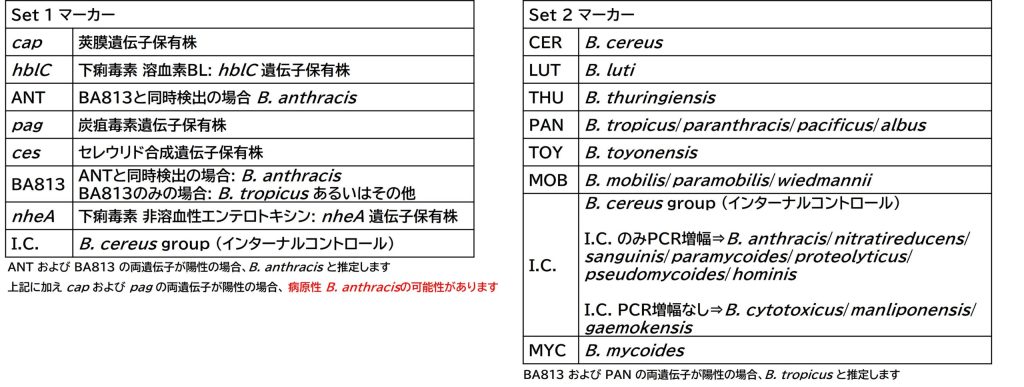 Bacillus cereus group Multiplex PCR 試験
