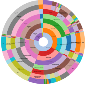 ドーナツグラフ