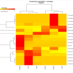 クラスター解析