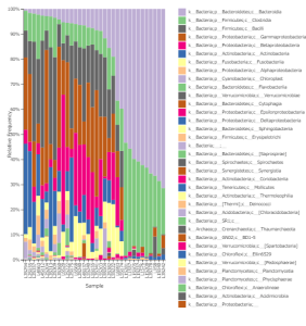 生体 アンプリコンシーケンス解析