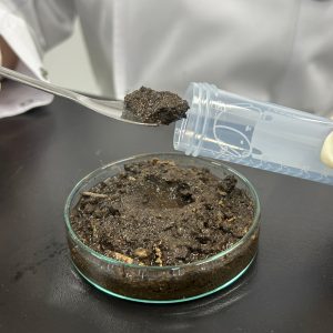 環境 アンプリコンシーケンス解析