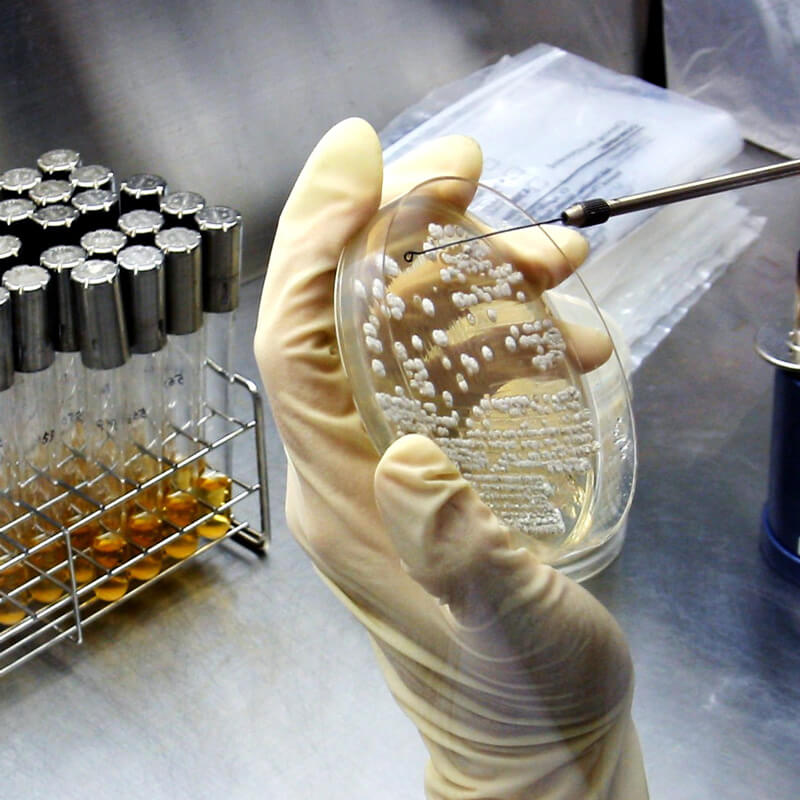 衛生管理向け微生物試験