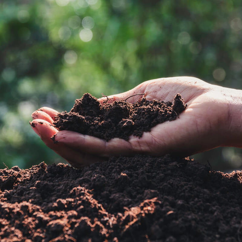 環境関連 微生物群集構造解析／菌叢解析