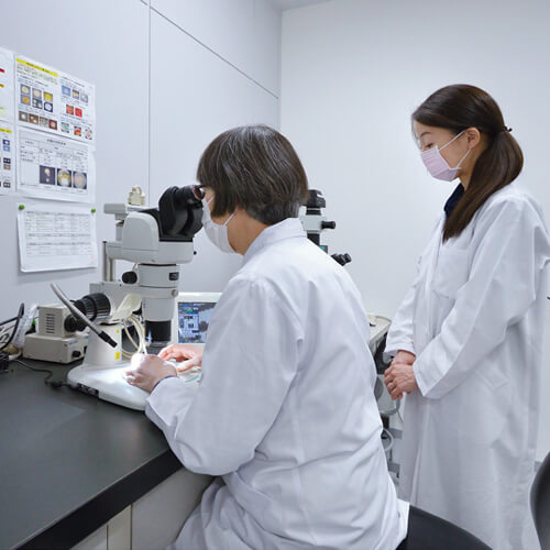 研究者向け微生物試験