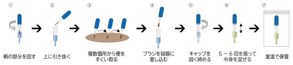 糞便採取キット_糞便採取フロー