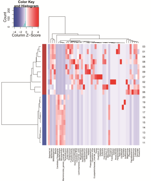 ヒートマップ ・ クラスター分析