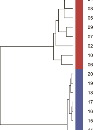 検体間の群集組成の系統関係