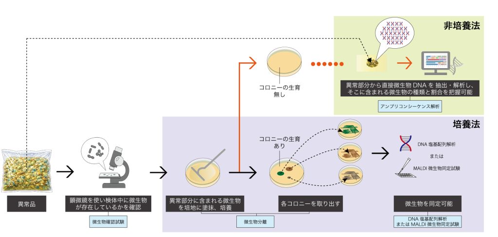 微生物同定試験