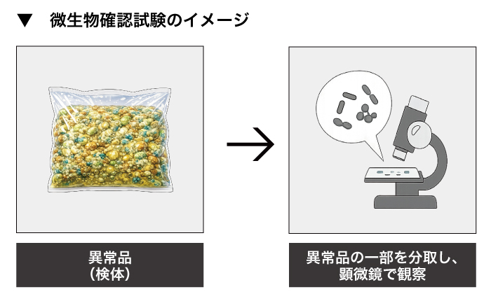 微生物確認試験