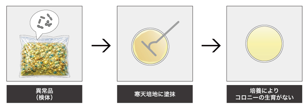 コロニー生育なし