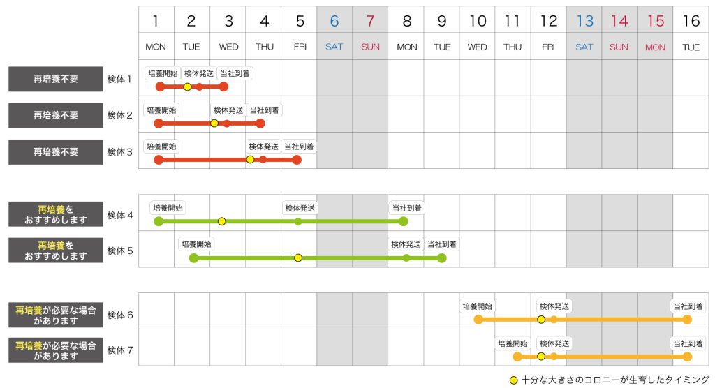 MALDI_再培養参考図