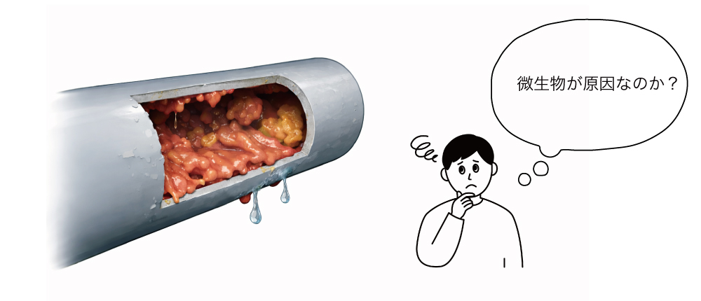 配管バイオフィルム_スライム状付着物