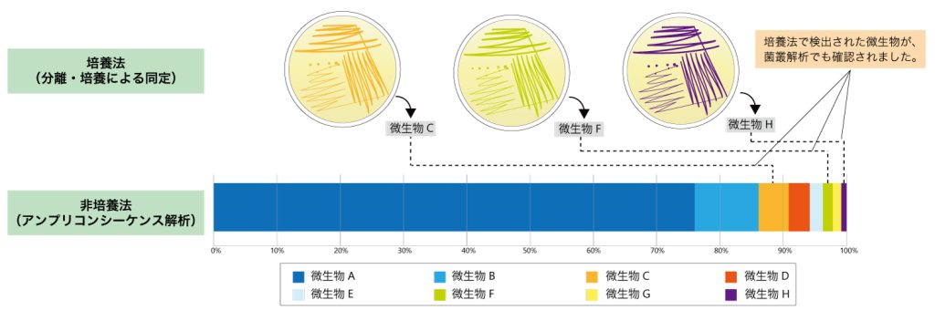 配管内バイオフィルム_培養法、非培養法