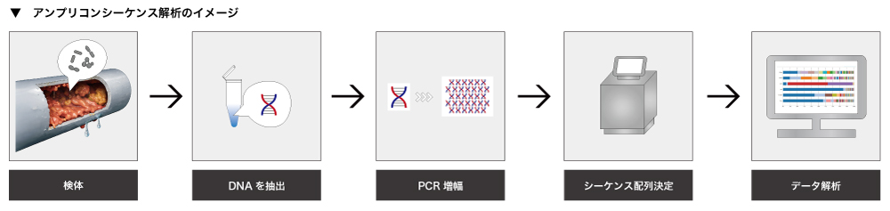 アンプリコンシーケンス解析（菌叢解析）