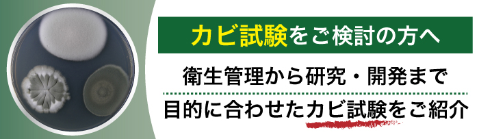 カビ試験のご紹介